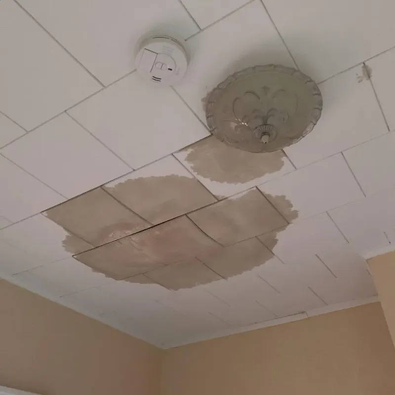 Ceiling Water Damage Repair in Granite Shoals, TX