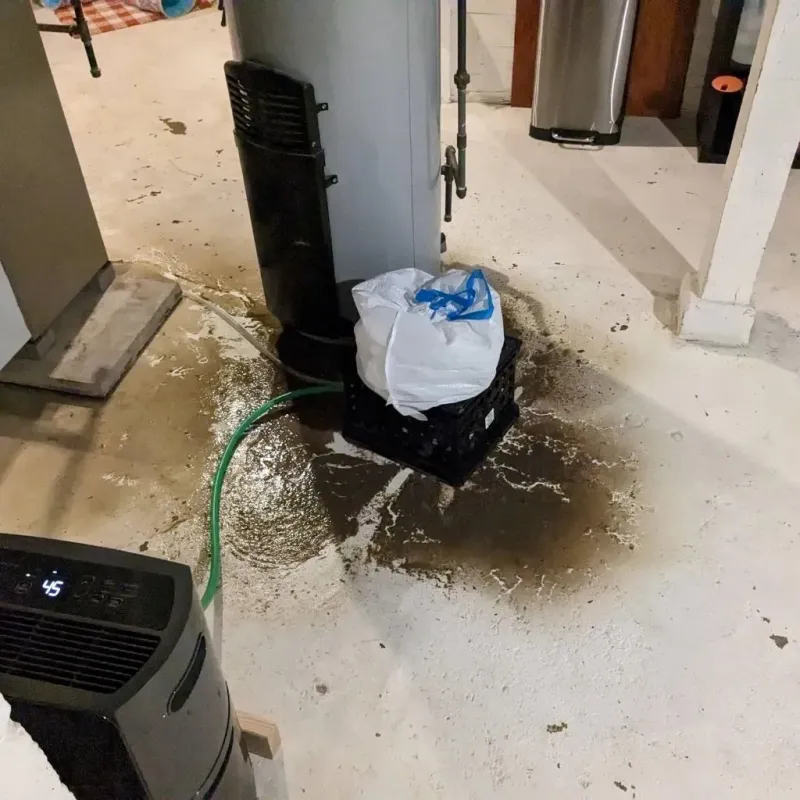 Sewage Backup Cleanup Service in Granite Shoals, TX